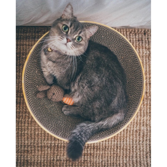 Brand New Cozy Cat Scratcher Bowl - Picture 3 of 3